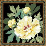(image for) Tree Peony
